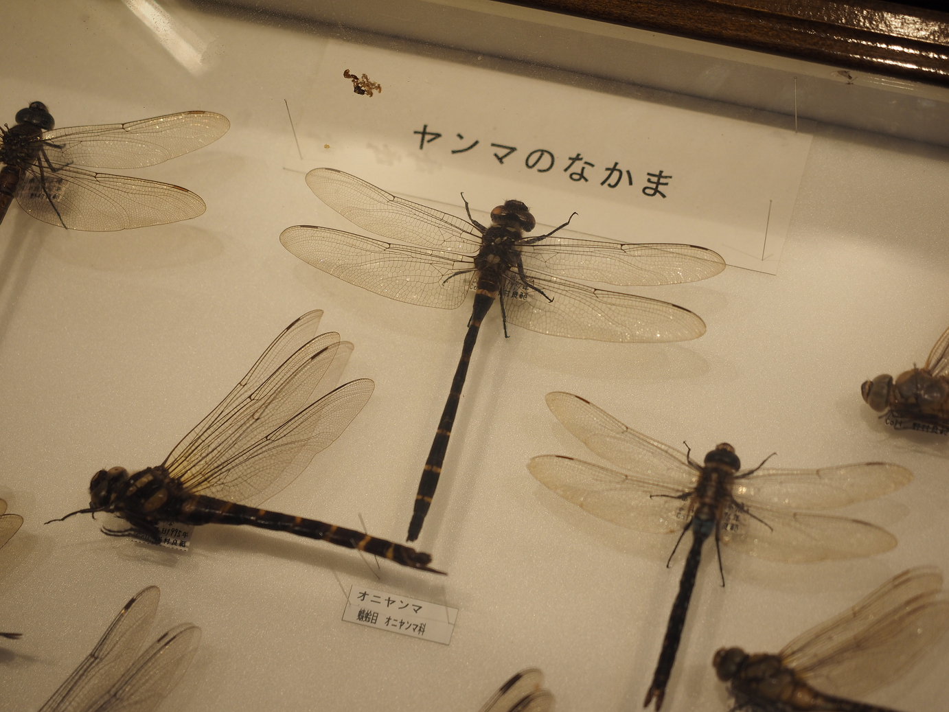 P9172052.jpg