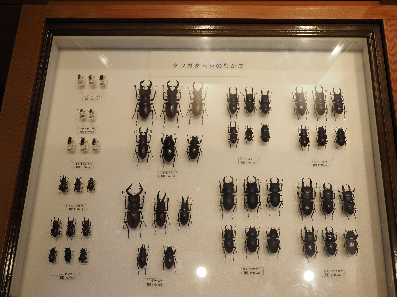 P9172054.jpg