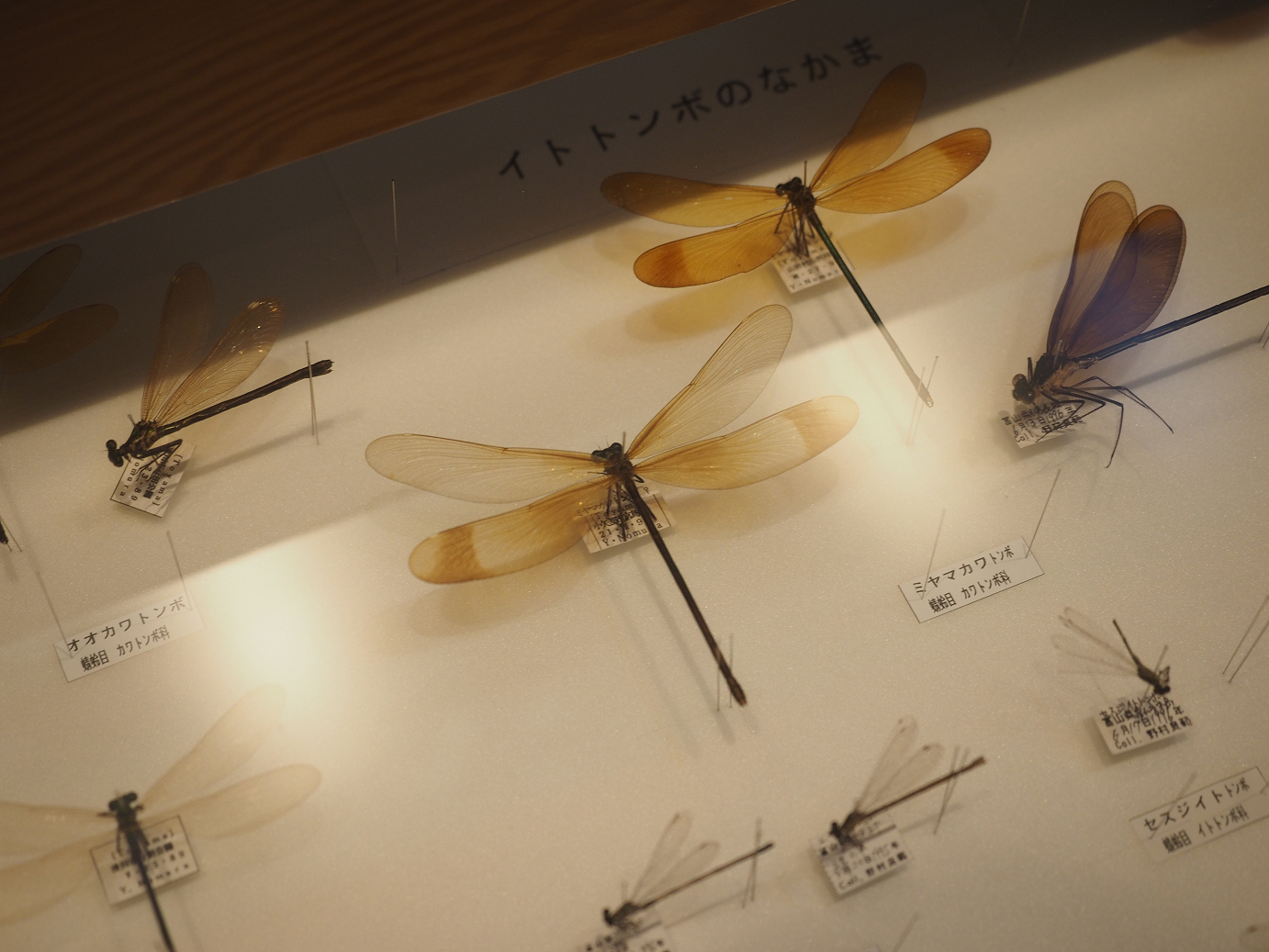 P9172057.jpg