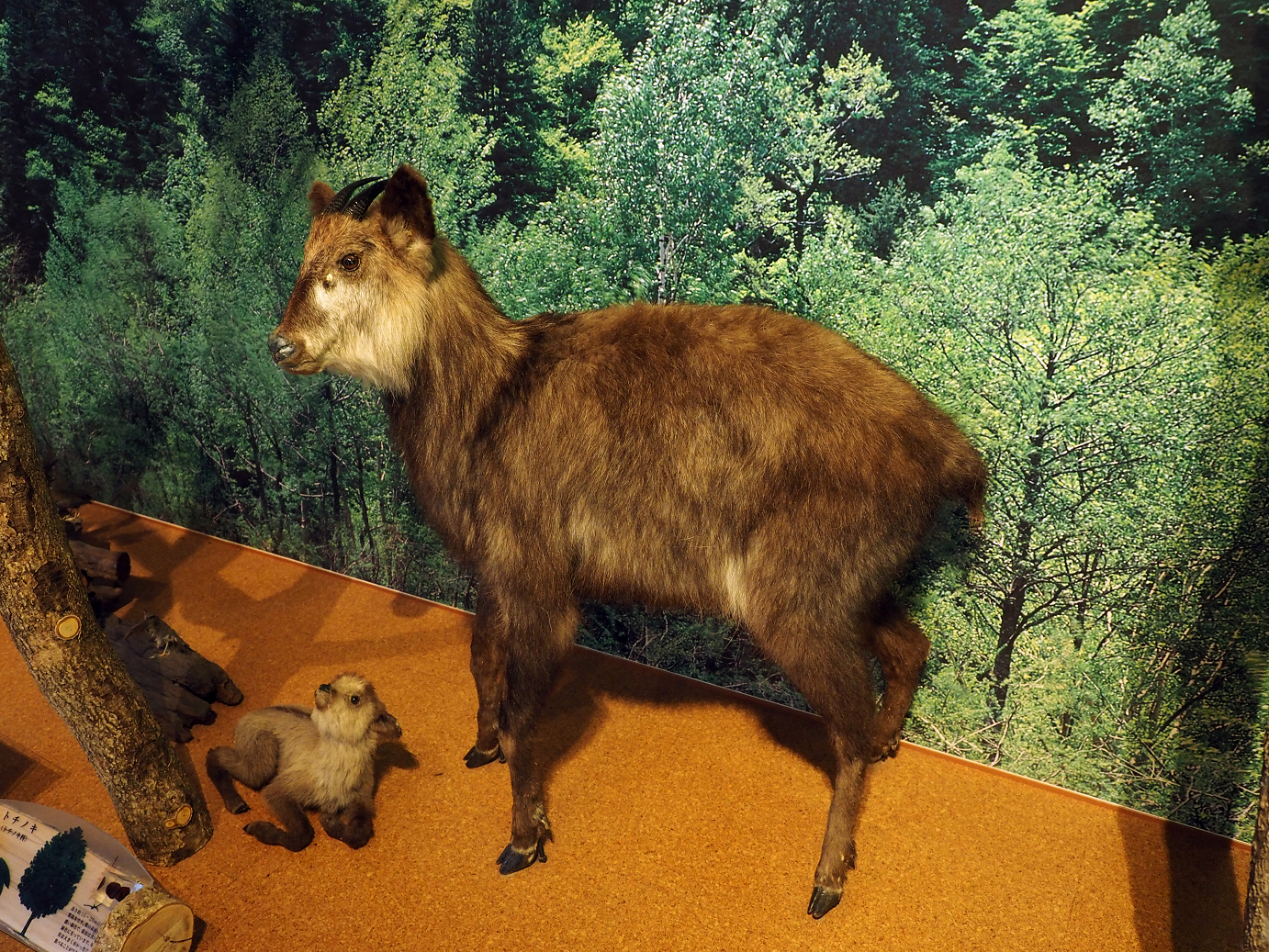 P9172063.jpg