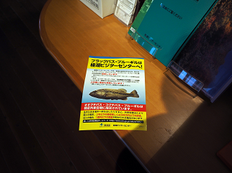 P9172064_thumb.png