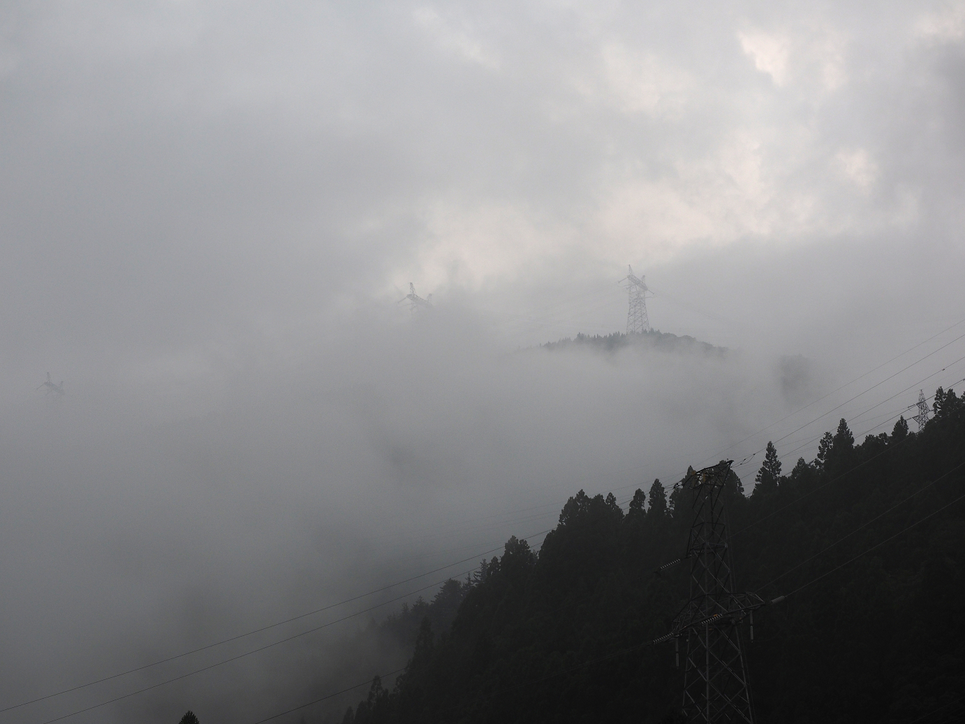 P9172077.jpg