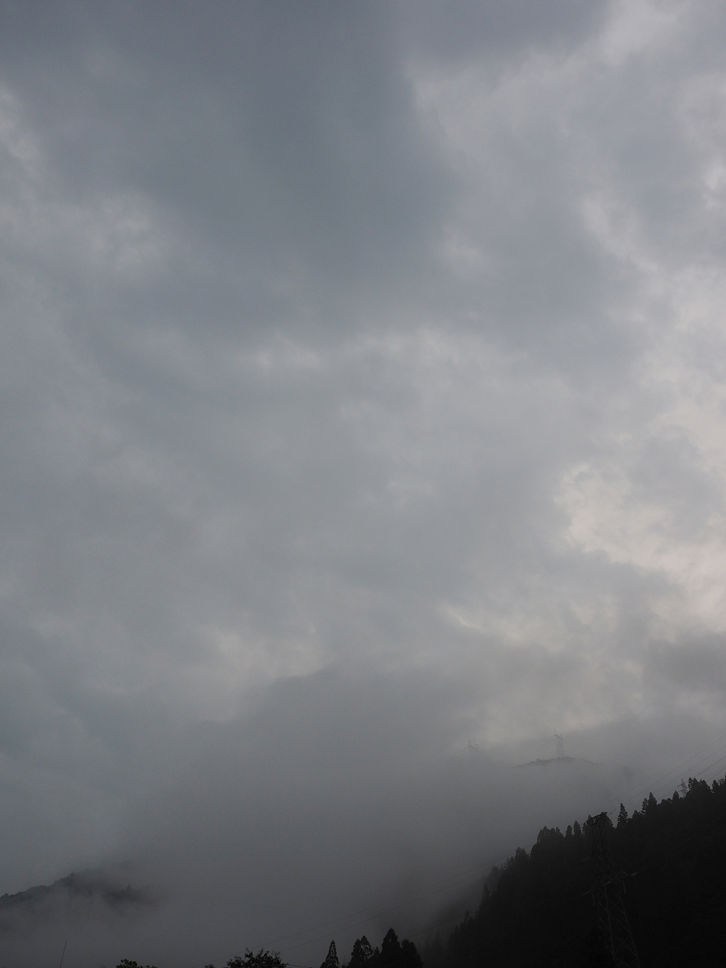 P9172083.jpg