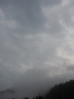 P9172083_thumb.png
