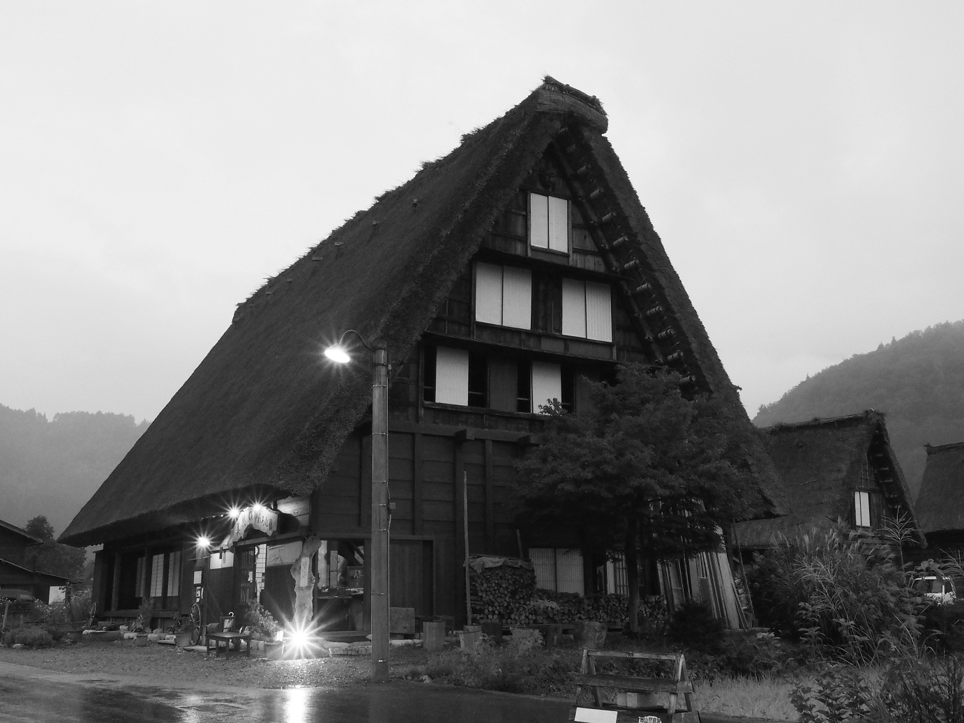 P9172086-.jpg