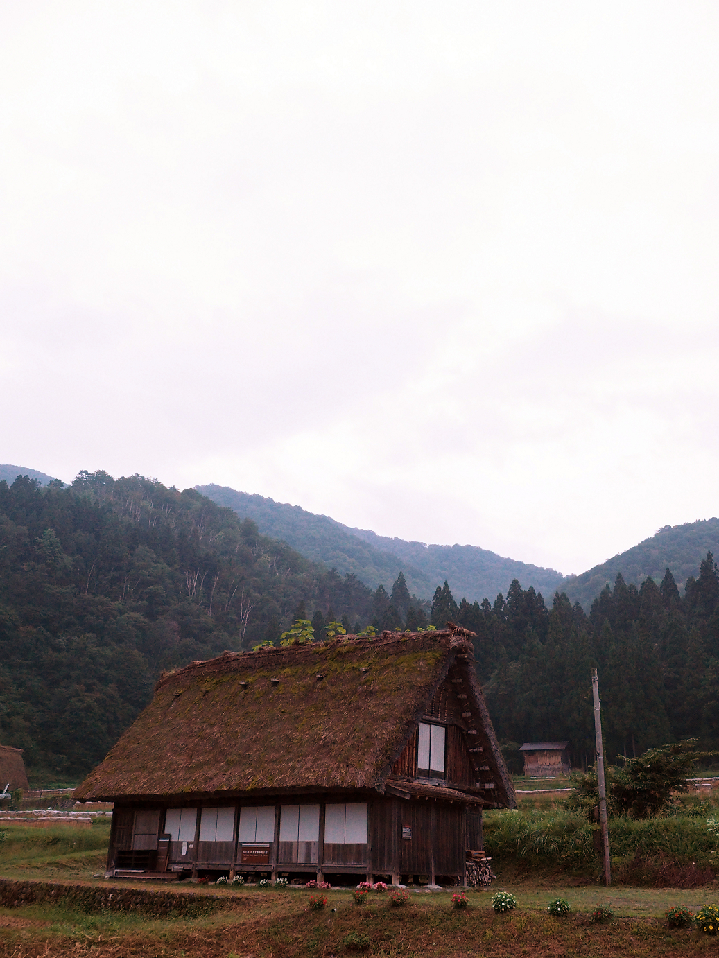 P9172101.jpg