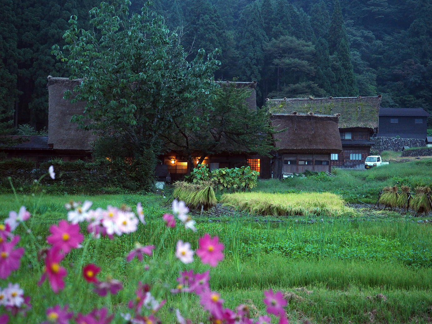 P9172108.jpg