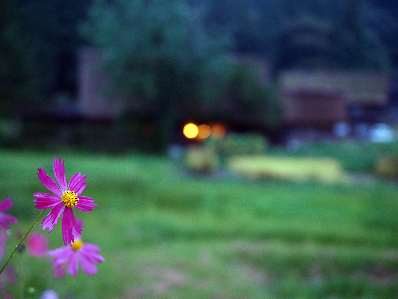 P9172117.jpg