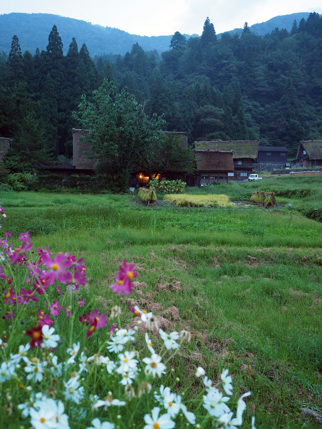 P9172120.jpg