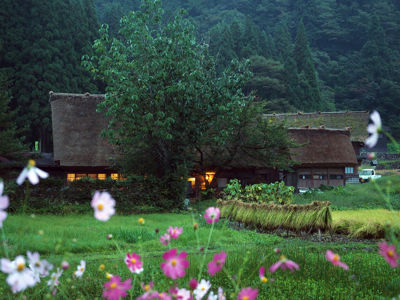 P9172123.jpg