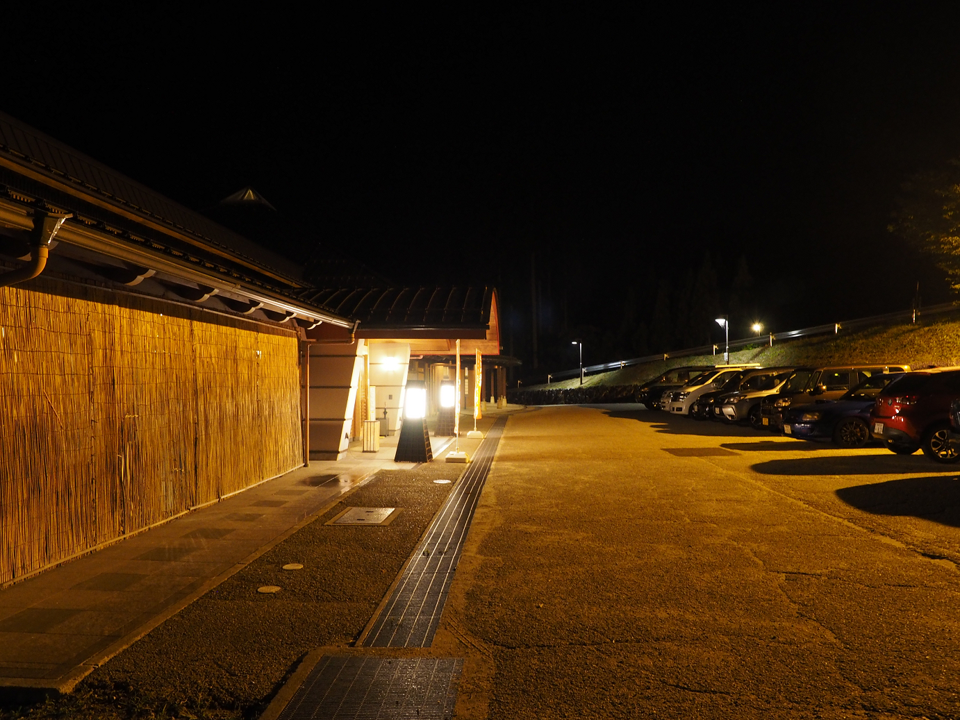 P9172137.jpg