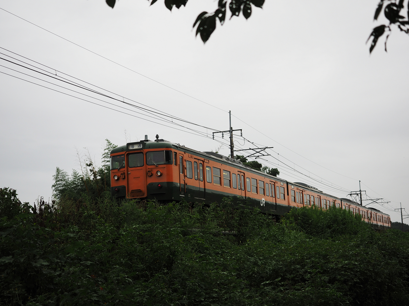 P9190094.jpg