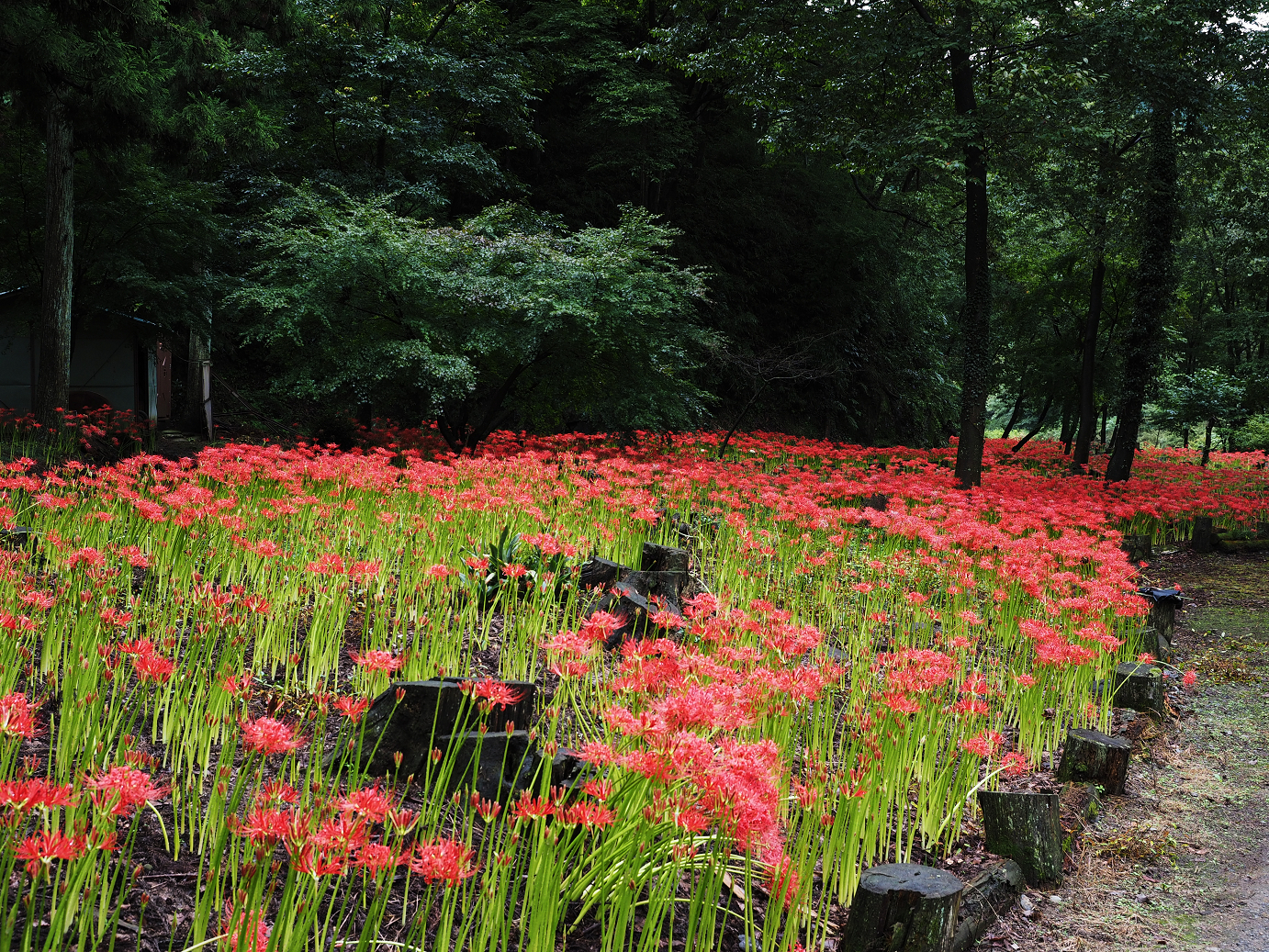 P9220146.jpg