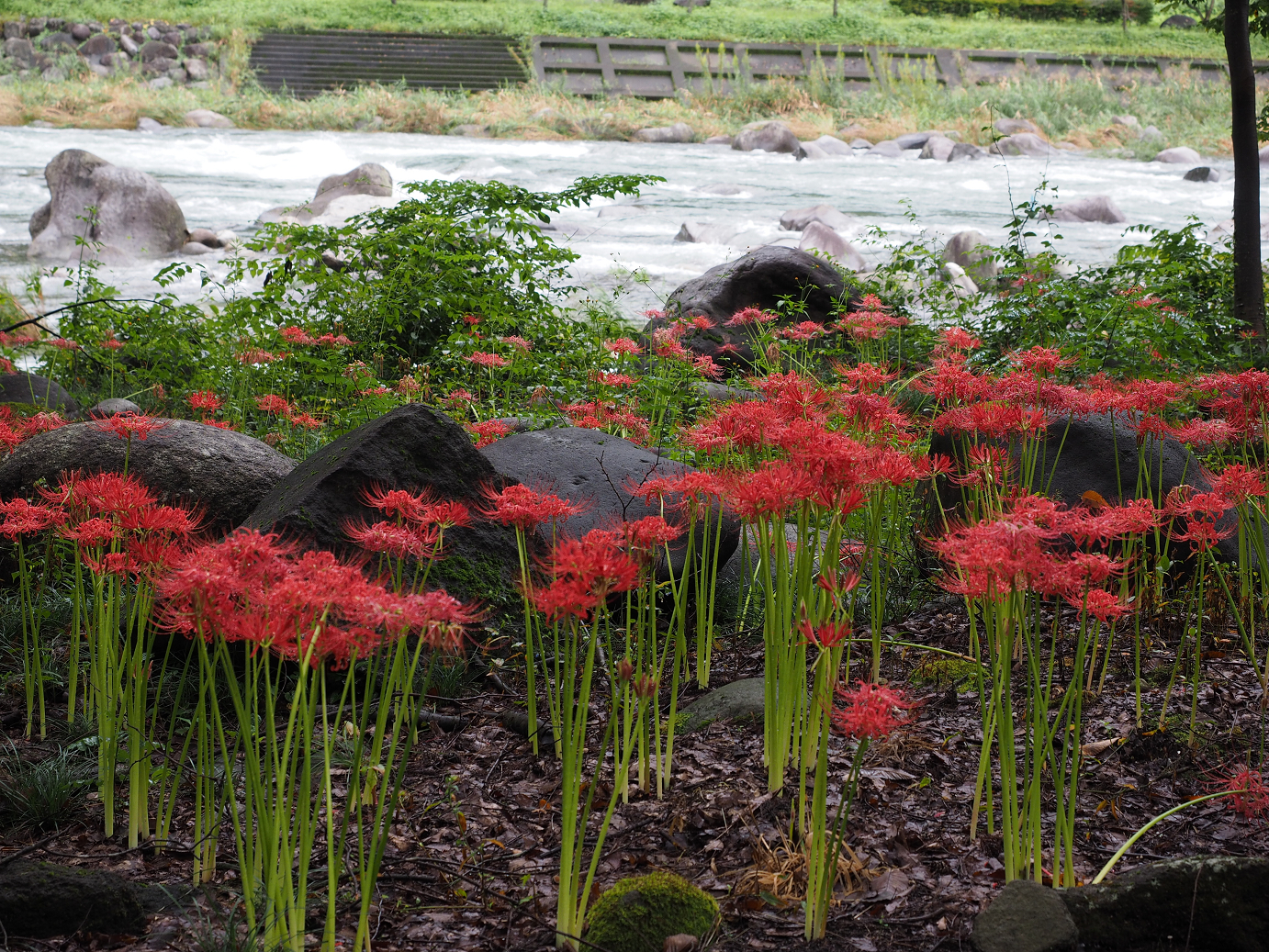 P9220150.jpg