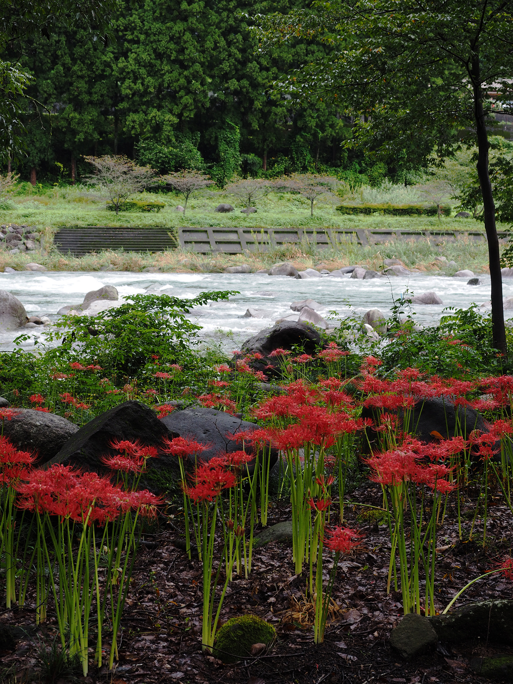 P9220151.jpg
