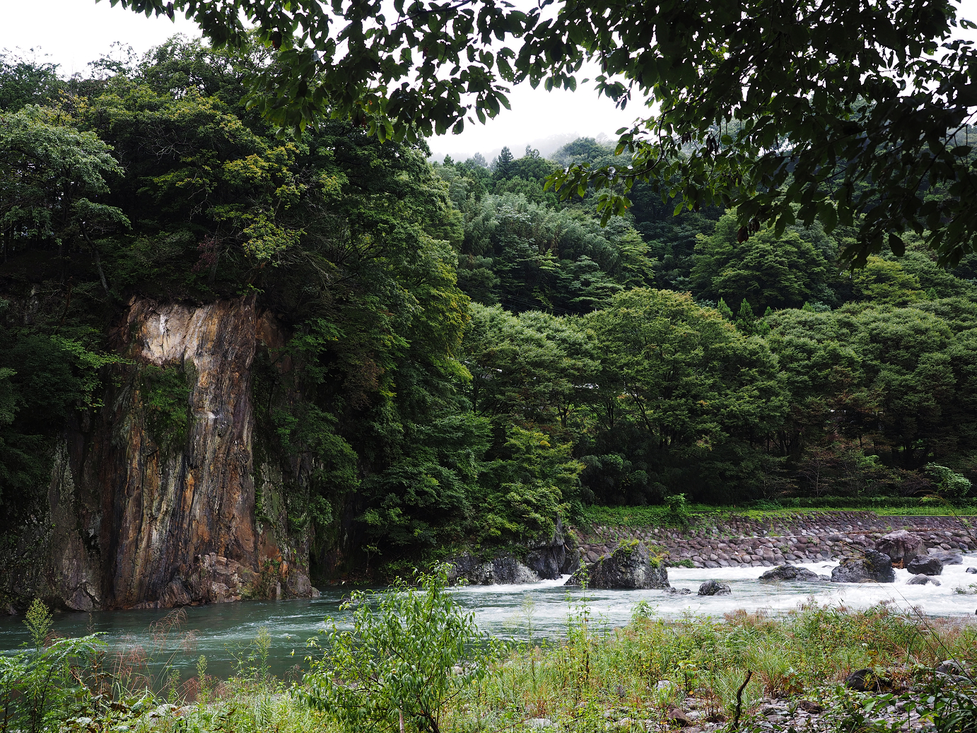 P9220158.jpg