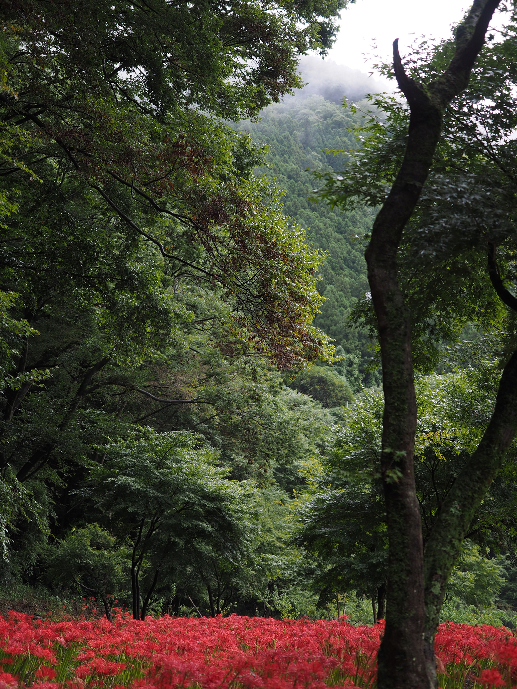 P9220210.jpg