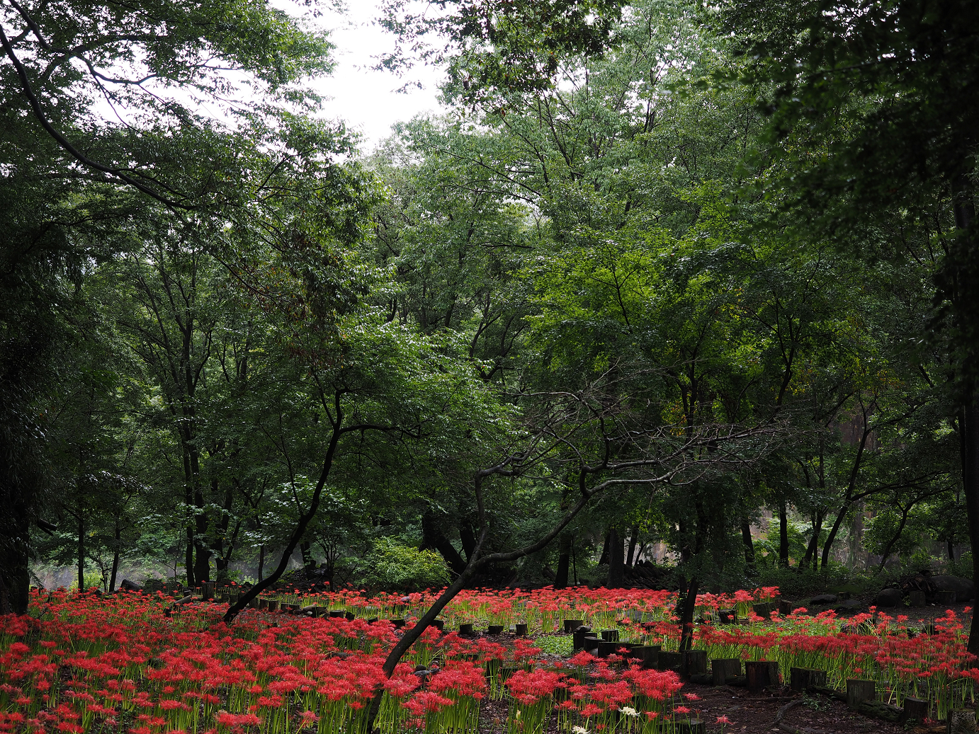P9220262.jpg