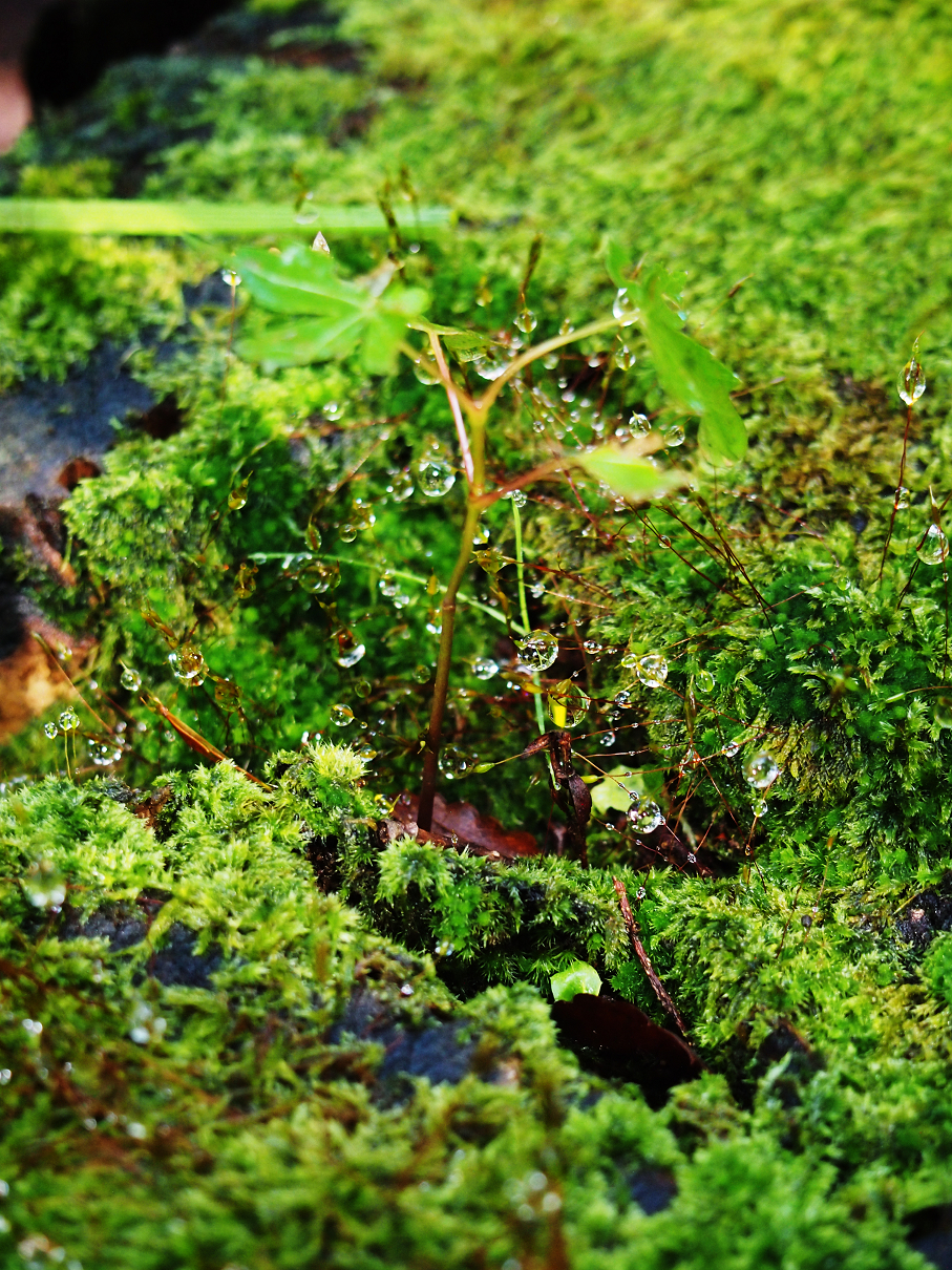 P9255031.jpg