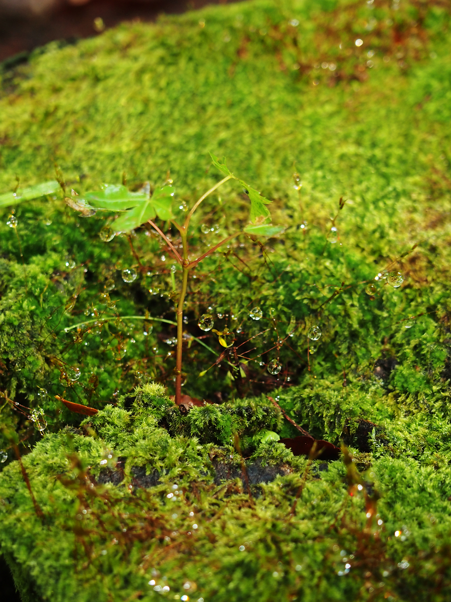 P9255032.jpg