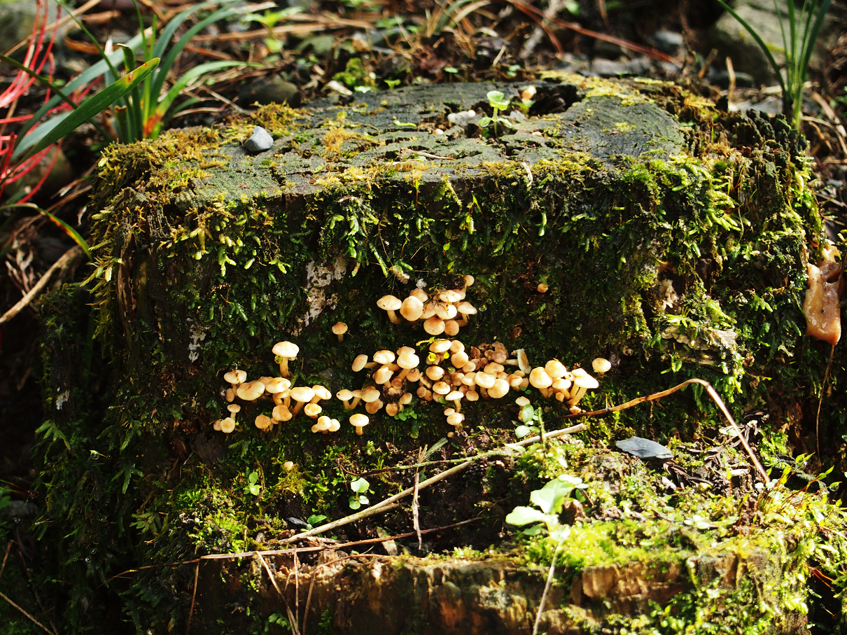 P9255037.jpg