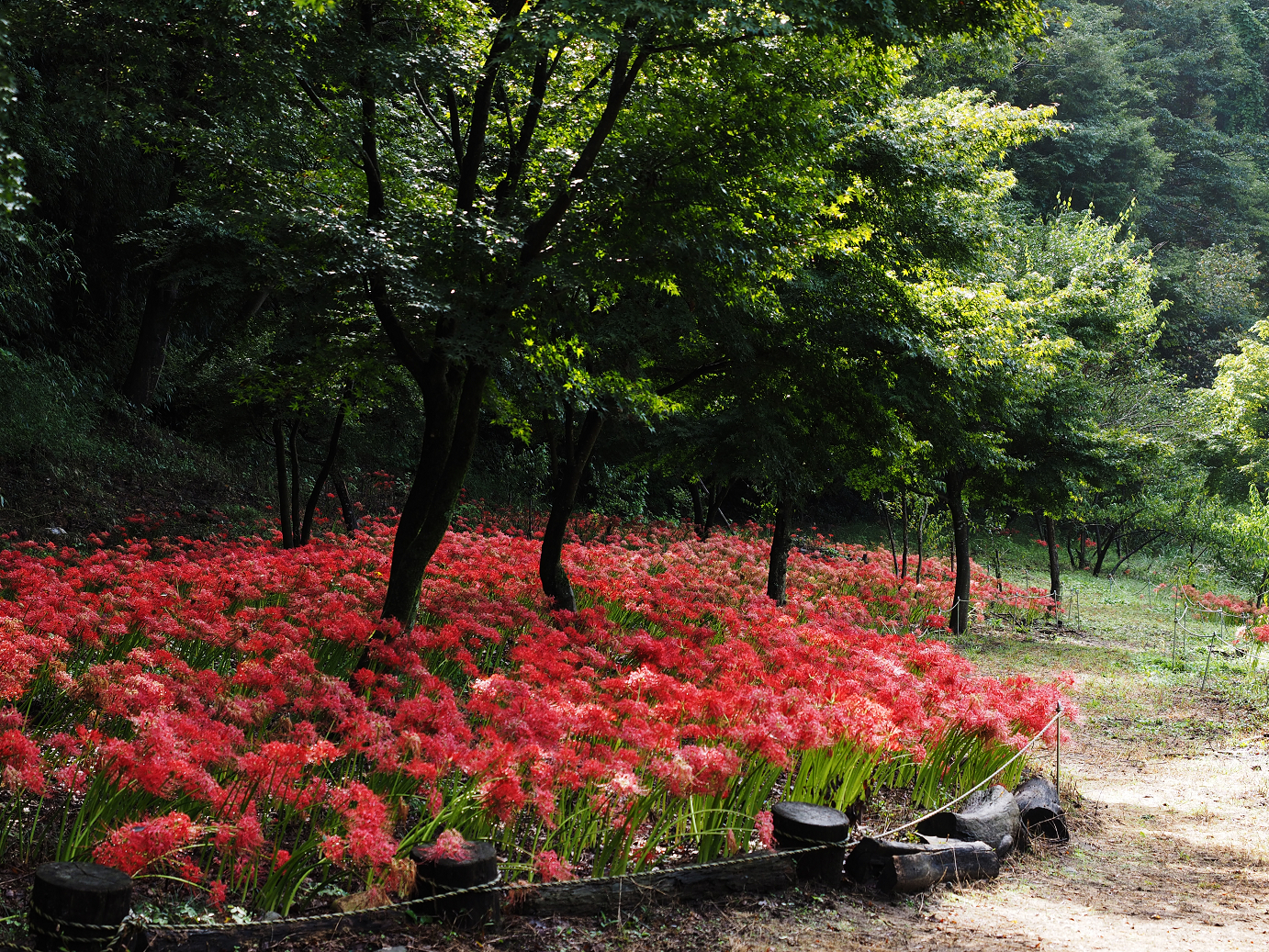 P9250400.jpg