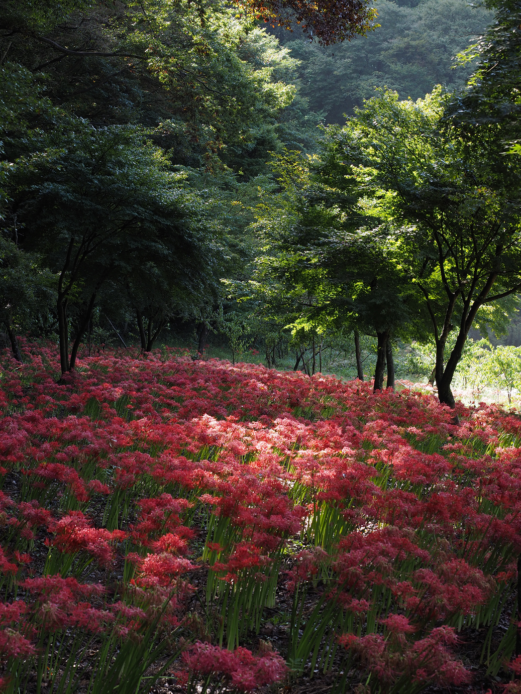 P9250423.jpg