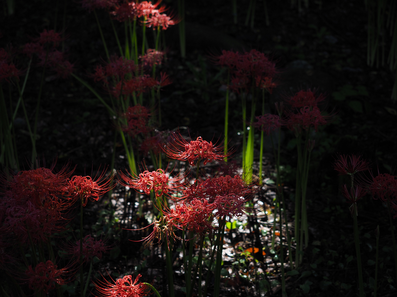 P9250484.jpg