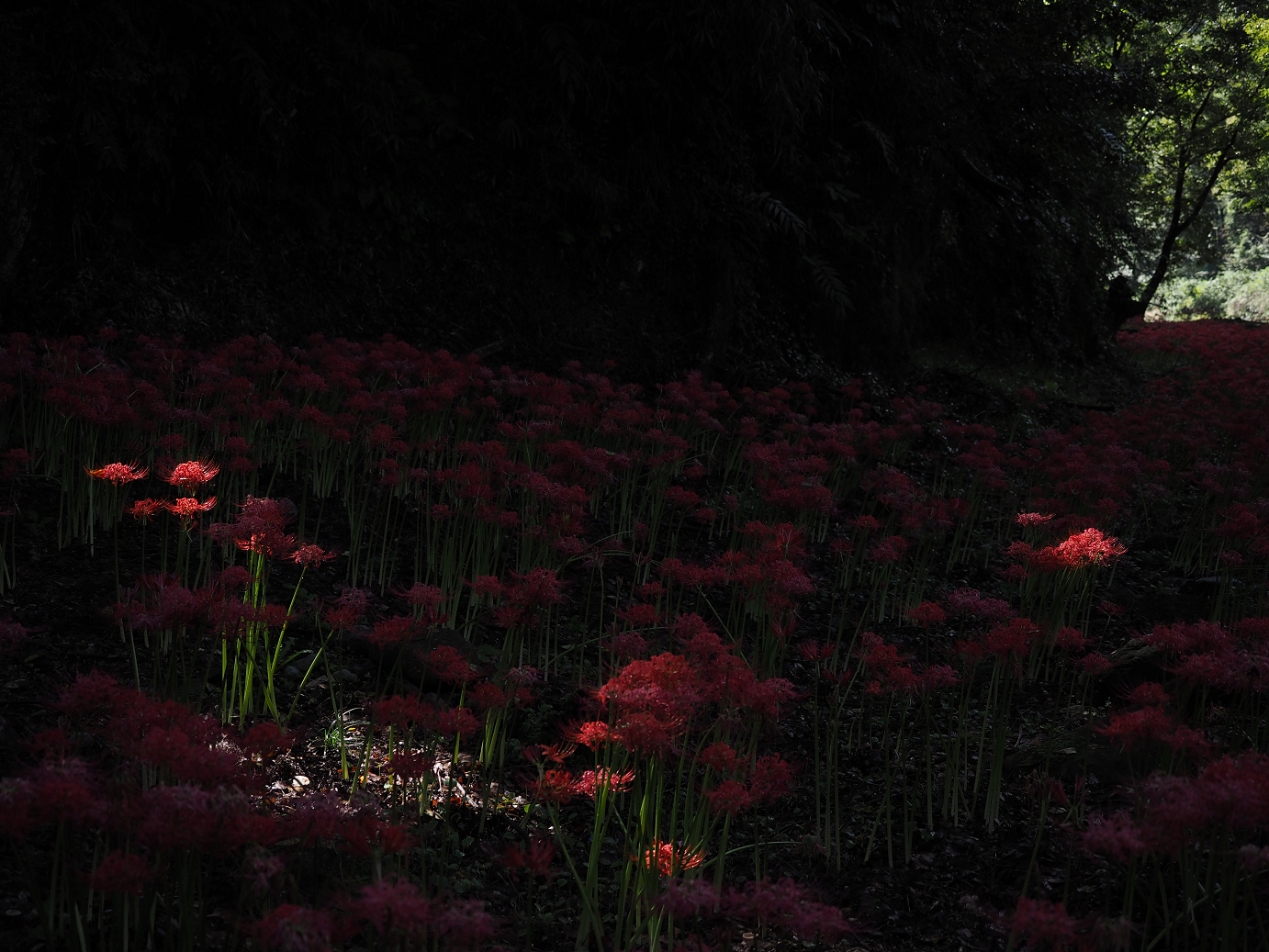 P9250493.jpg