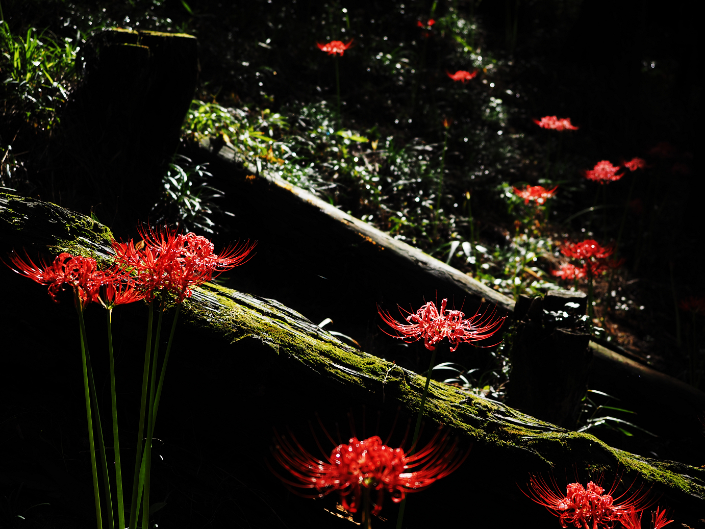 P9250547.jpg
