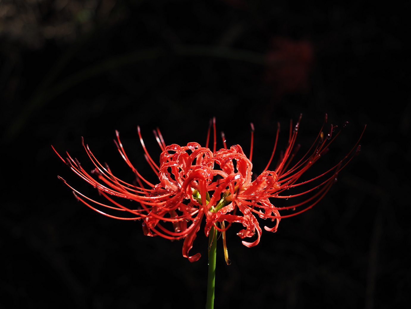 P9250551.jpg