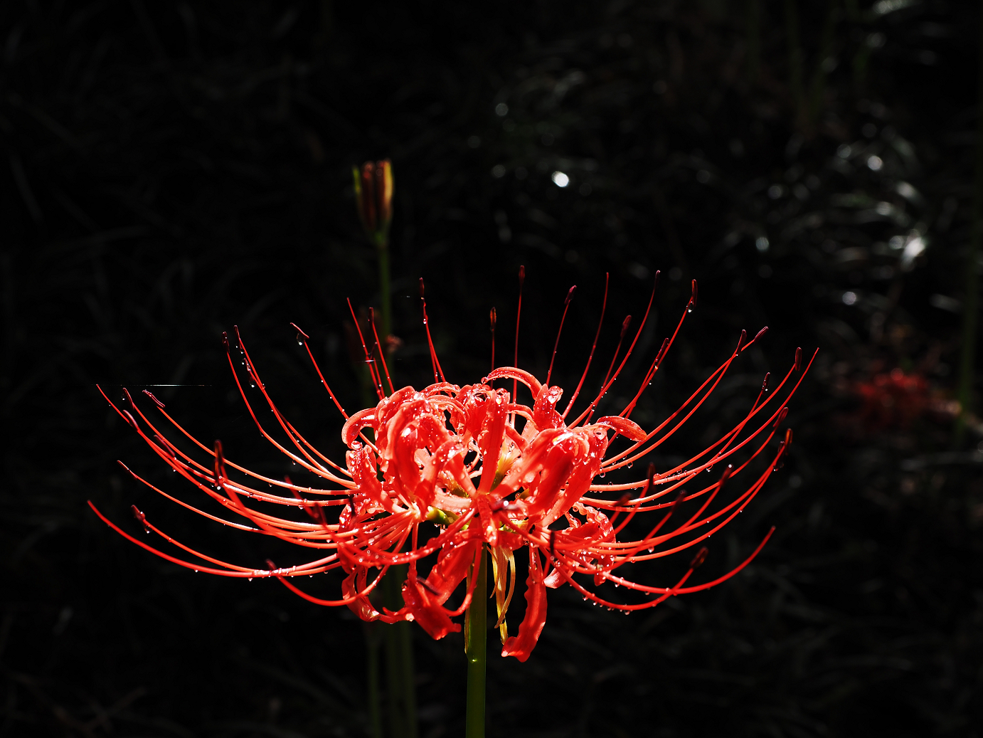 P9250553.jpg
