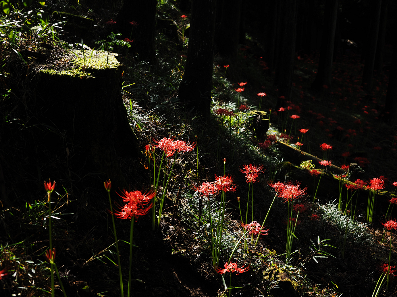 P9250556.jpg