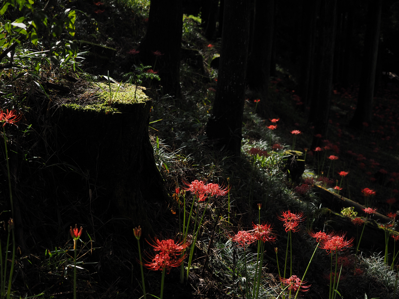 P9250557.jpg