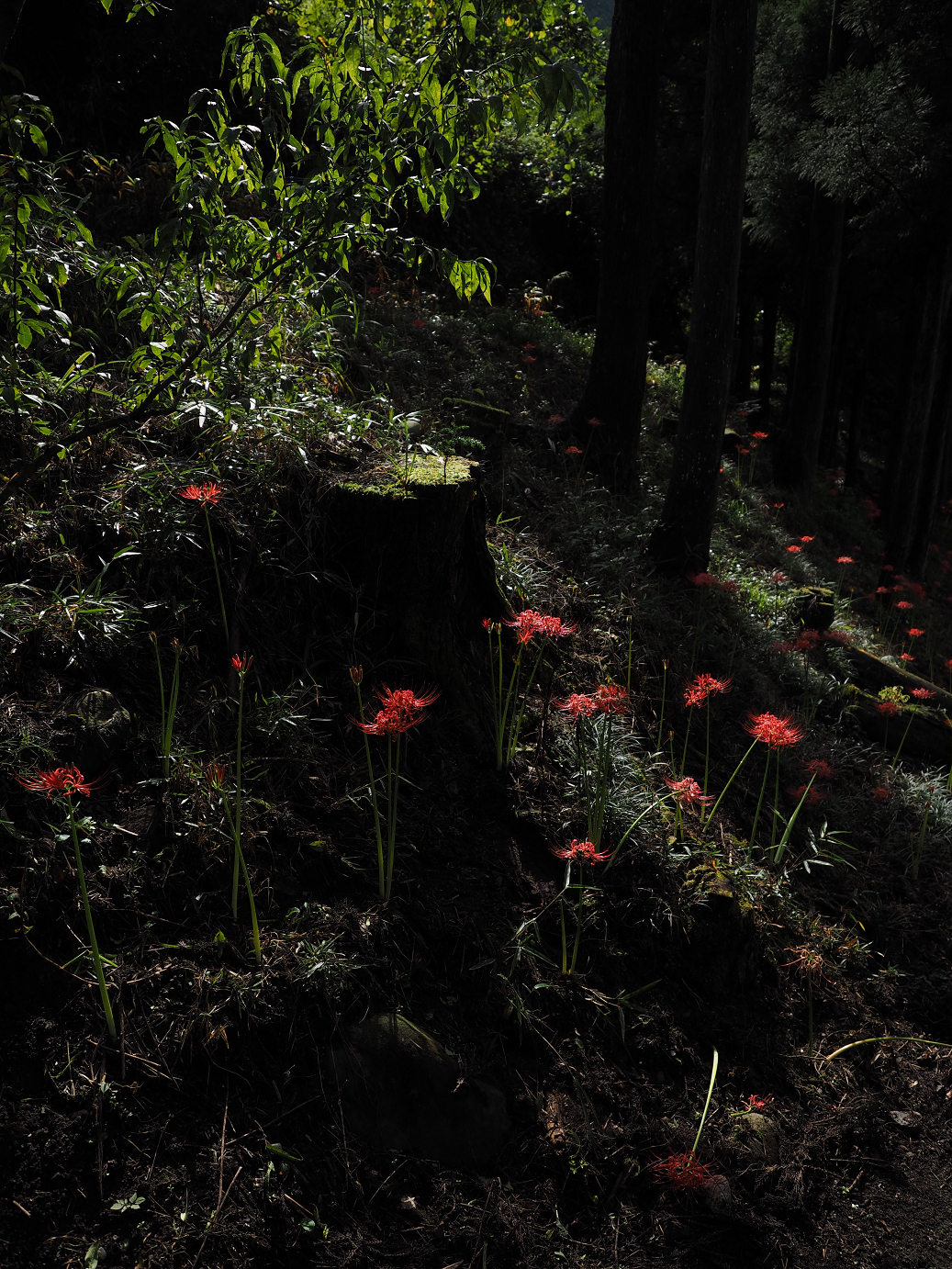 P9250560.jpg