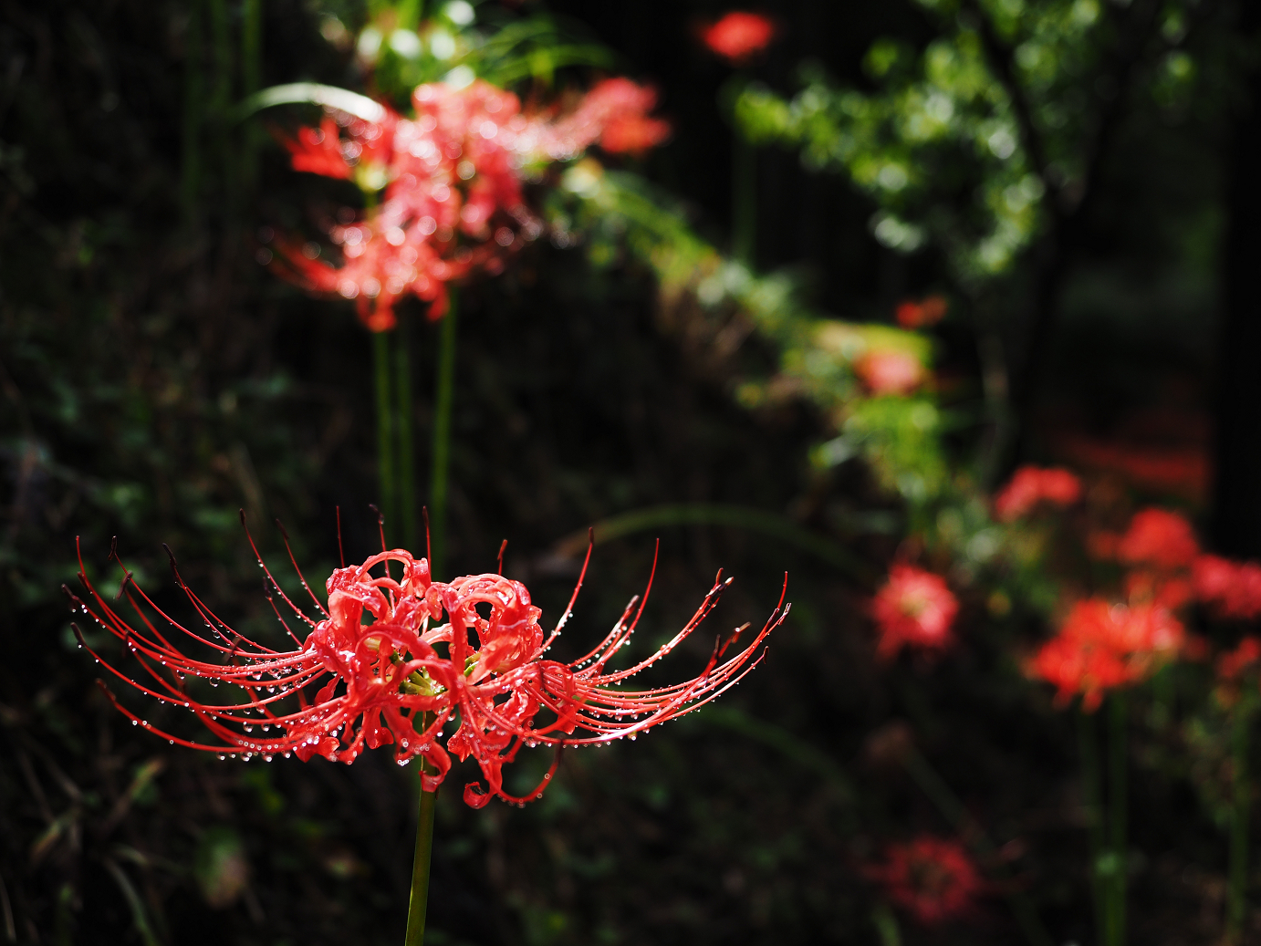 P9250571.jpg