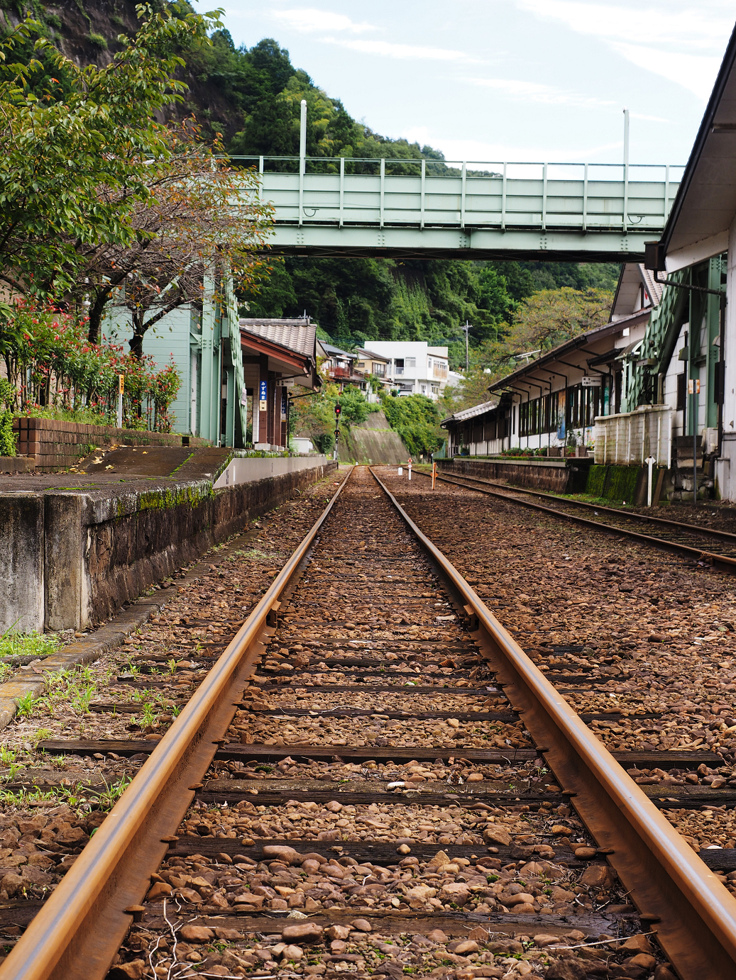 P9250583.jpg