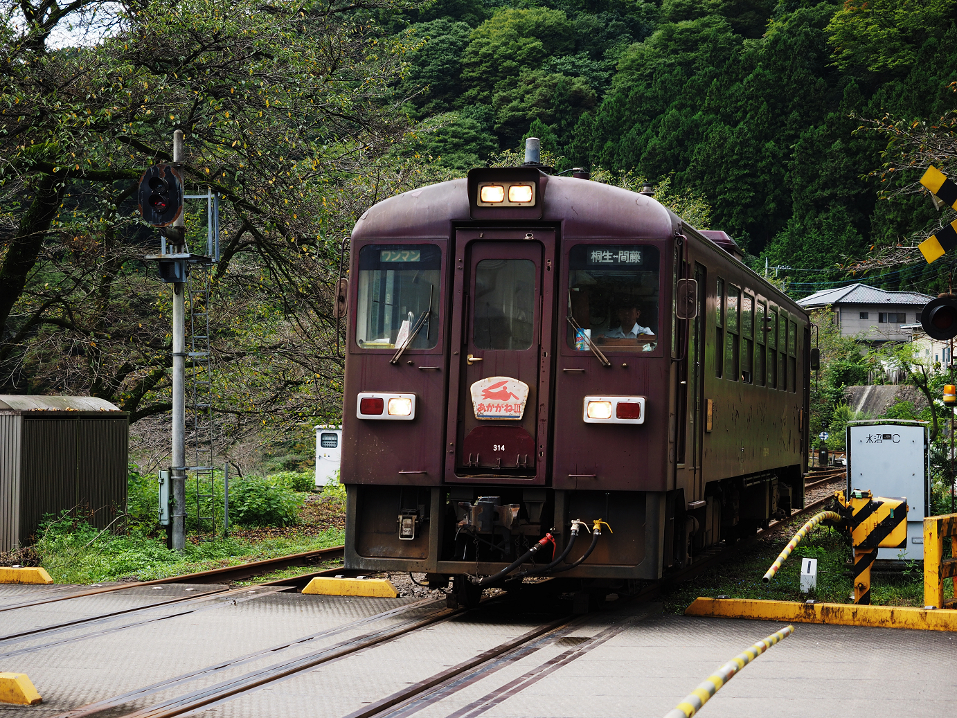 P9250589.jpg