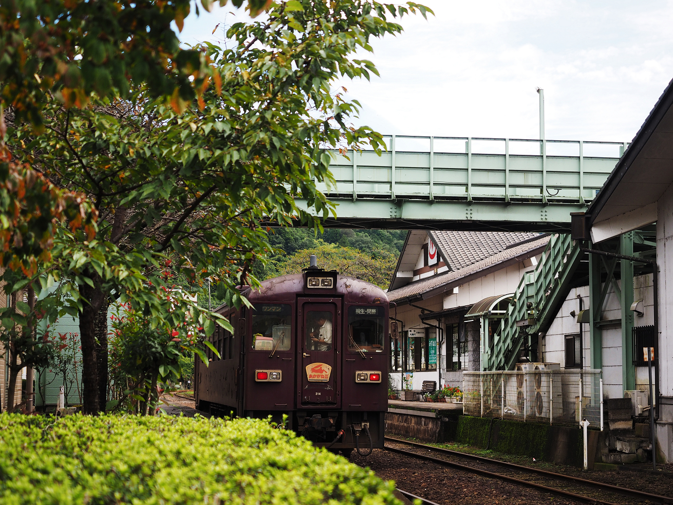 P9250590.jpg