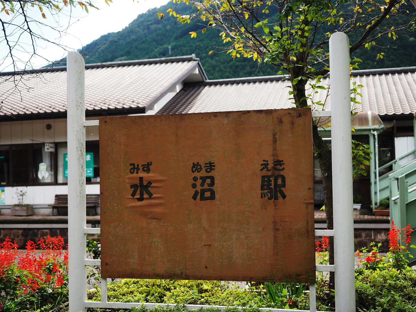 P9250591.jpg