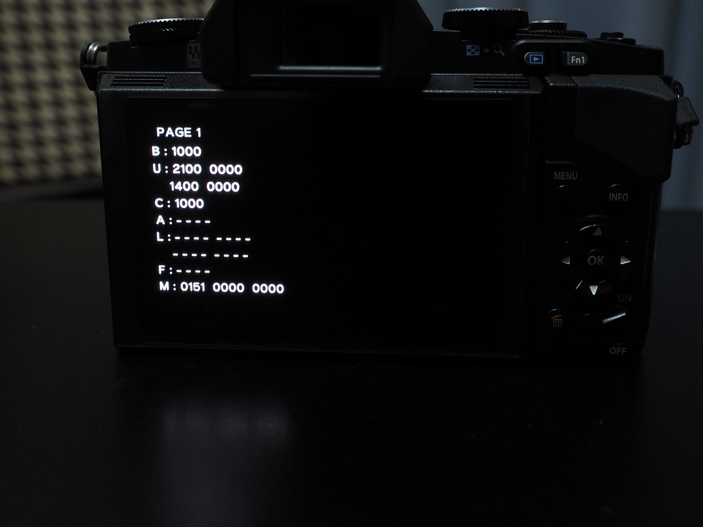 PA010018.jpg