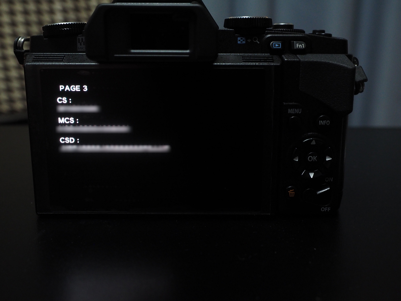 PA010020.jpg