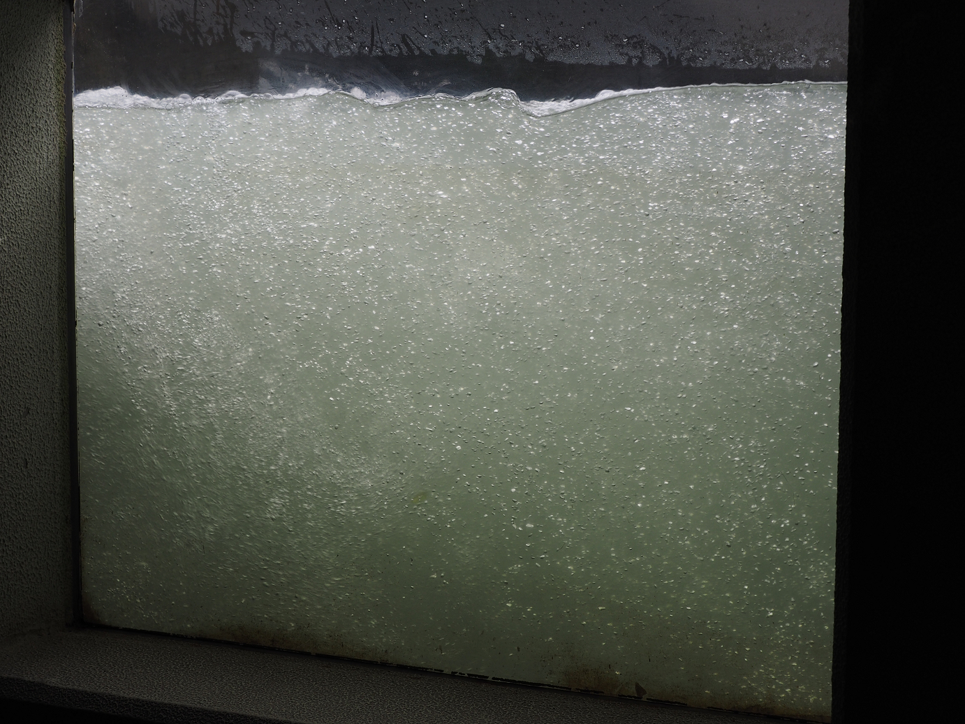 PA010037.jpg
