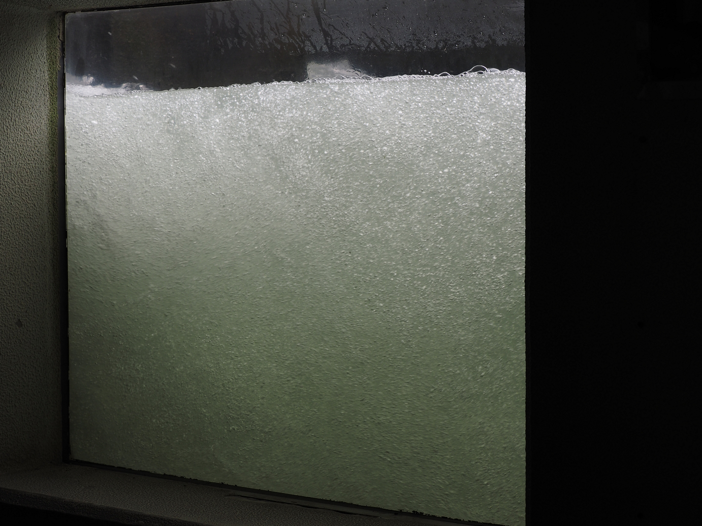 PA010041.jpg