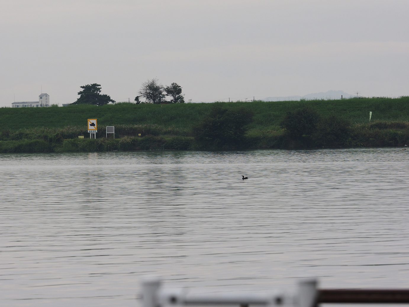 PA010042.jpg