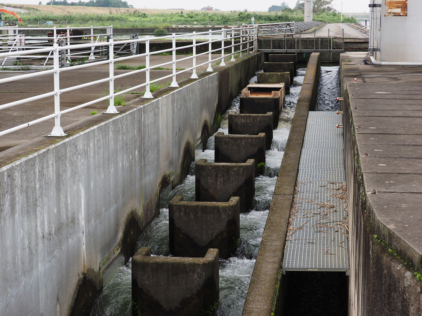 PA010044.jpg