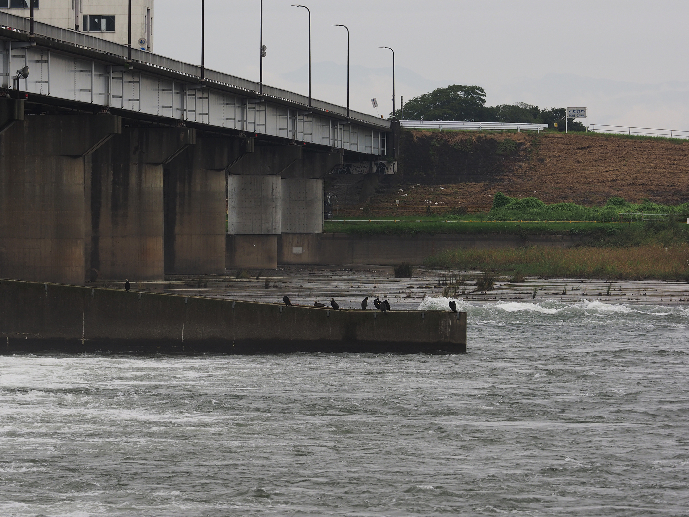 PA010048.jpg