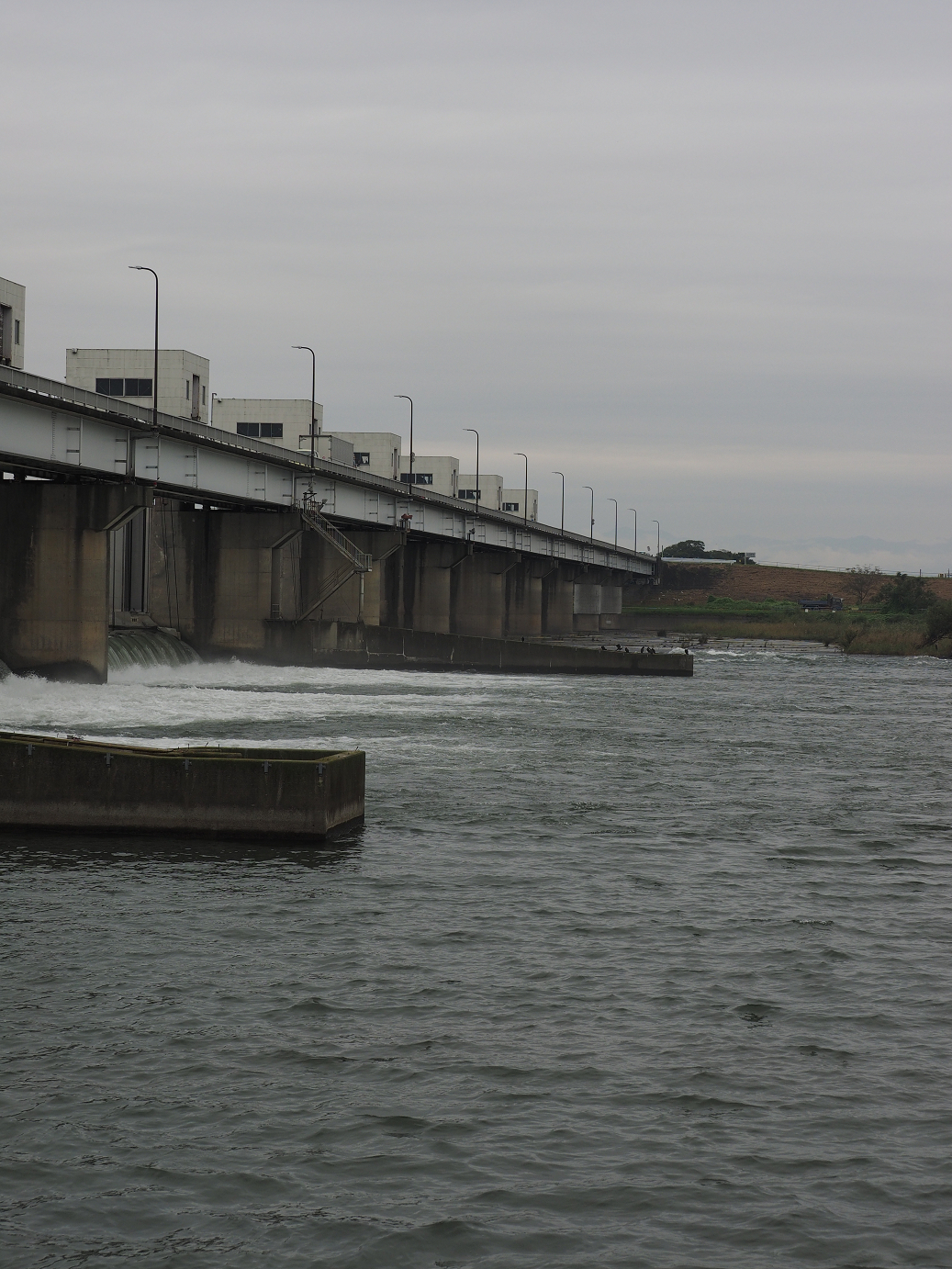 PA010049.jpg