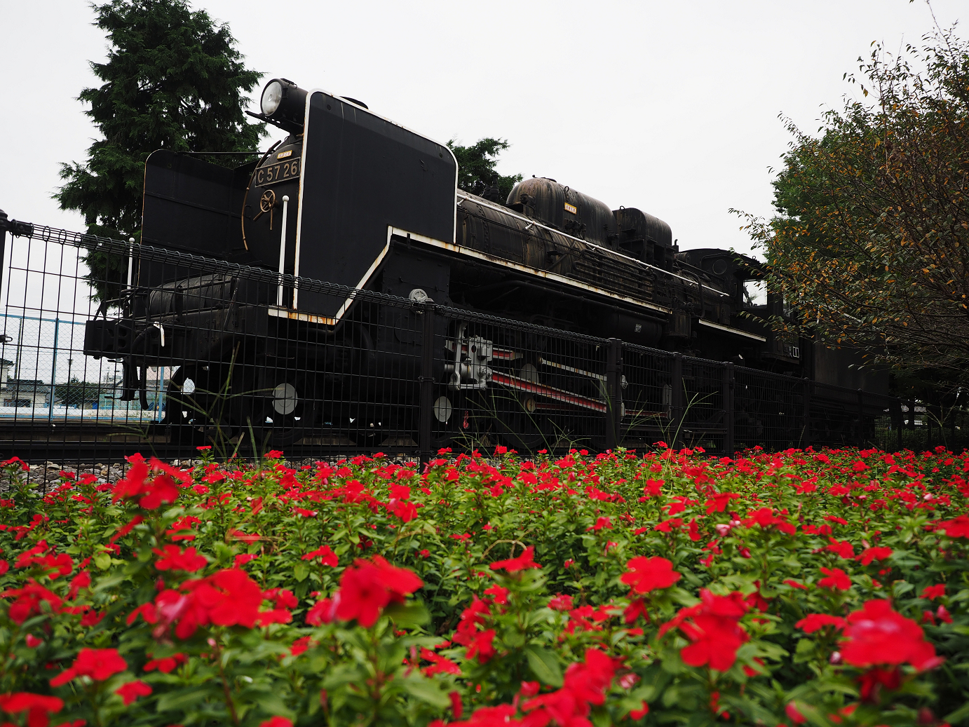 PA010067.jpg