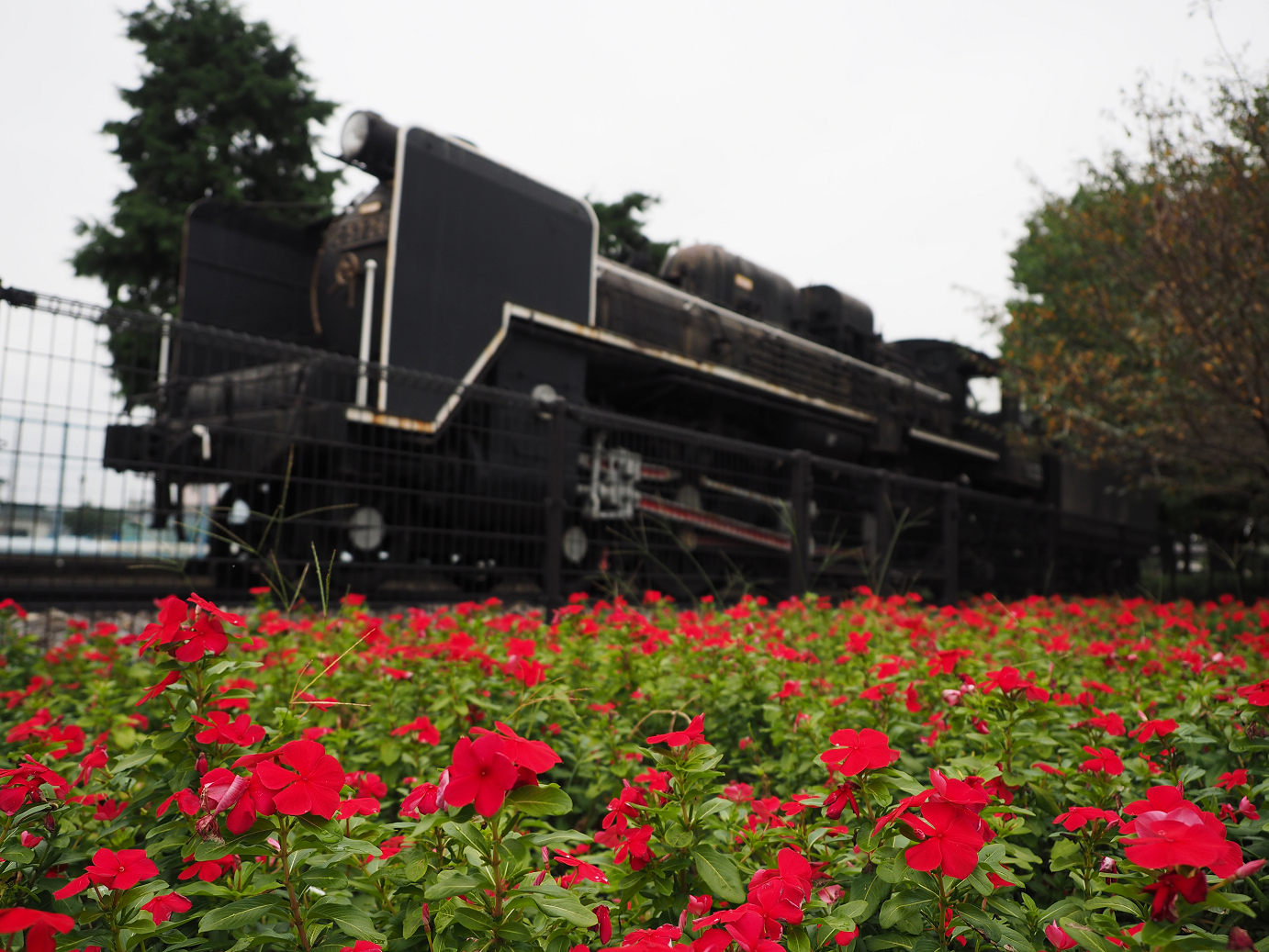 PA010068.jpg